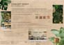 create aesthetic interior design mood boards and concepts